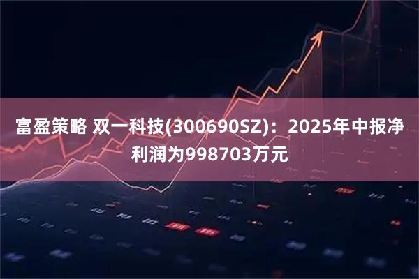 富盈策略 双一科技(300690SZ)：2025年中报净利润为998703万元