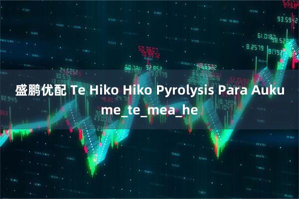 盛鹏优配 Te Hiko Hiko Pyrolysis Para Aukume_te_mea_he