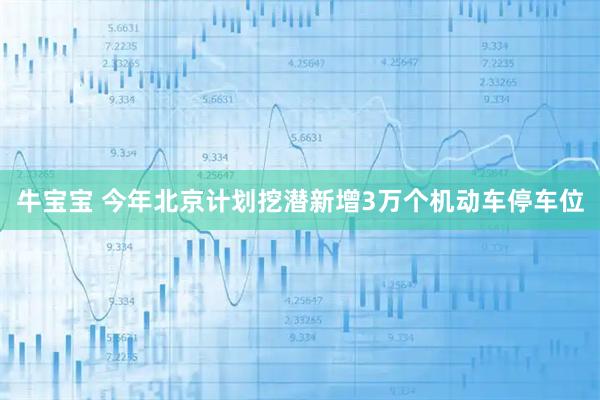 牛宝宝 今年北京计划挖潜新增3万个机动车停车位
