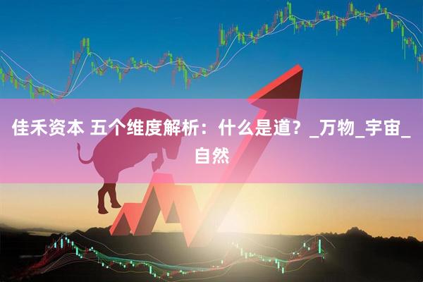 佳禾资本 五个维度解析：什么是道？_万物_宇宙_自然