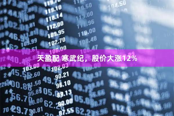 天盈配 寒武纪，股价大涨12%