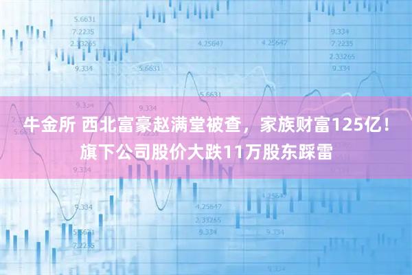 牛金所 西北富豪赵满堂被查，家族财富125亿！旗下公司股价大跌11万股东踩雷